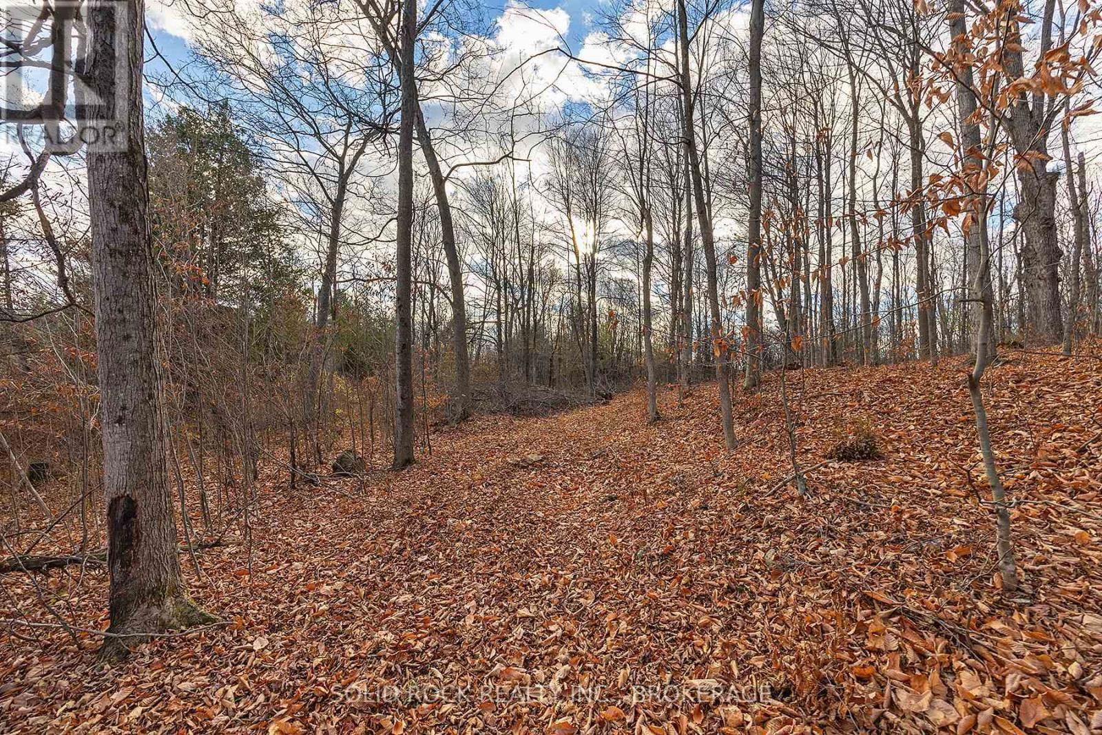 4419 OLD KINGSTON ROAD Image 44