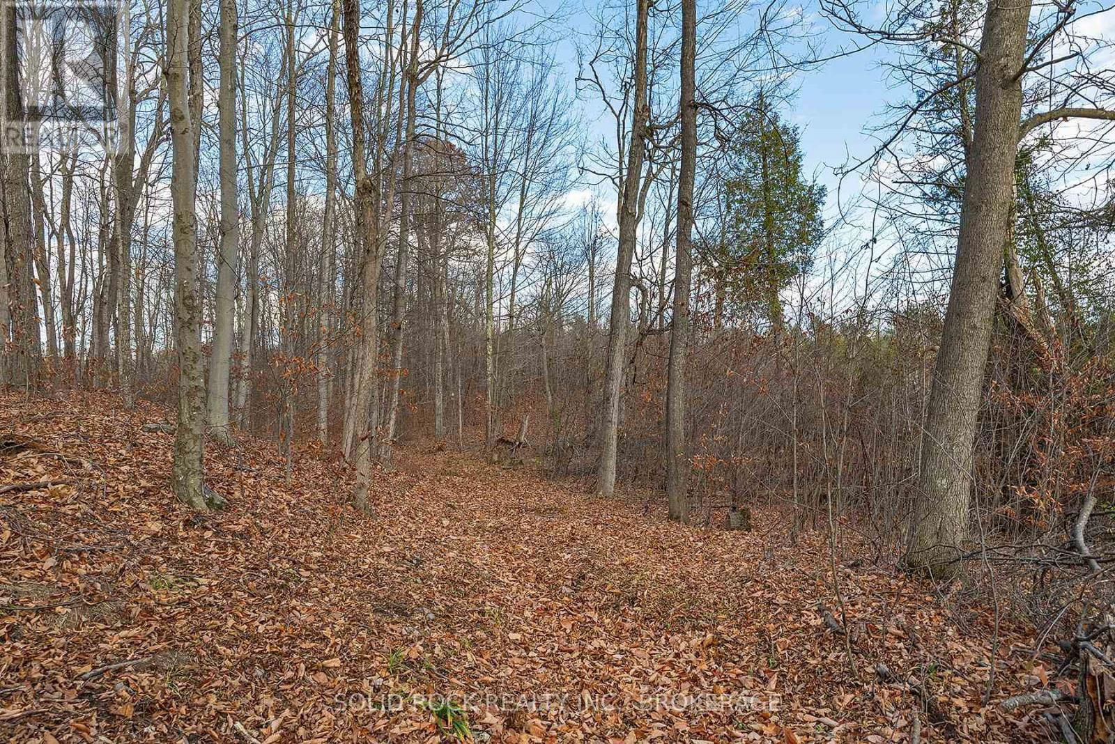 4419 OLD KINGSTON ROAD Image 45