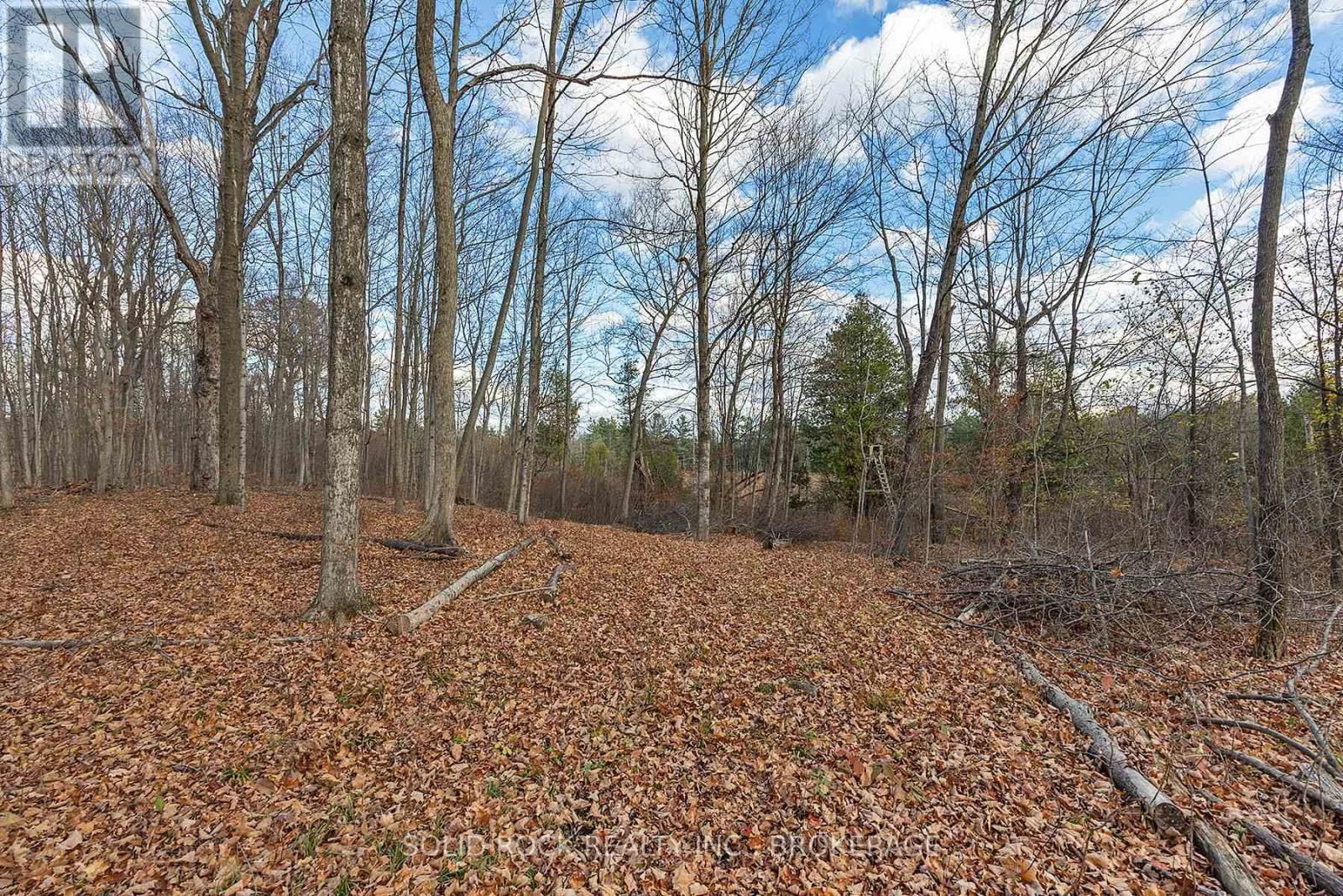 4419 OLD KINGSTON ROAD Image 46