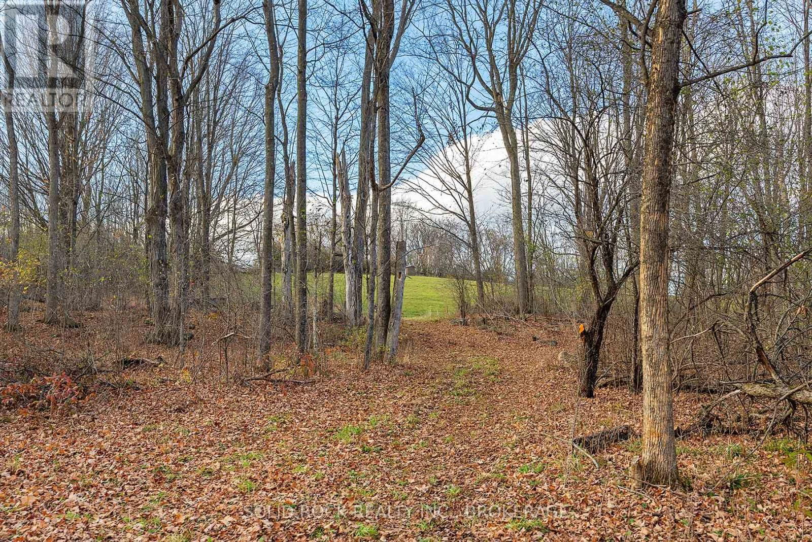 4419 OLD KINGSTON ROAD Image 48
