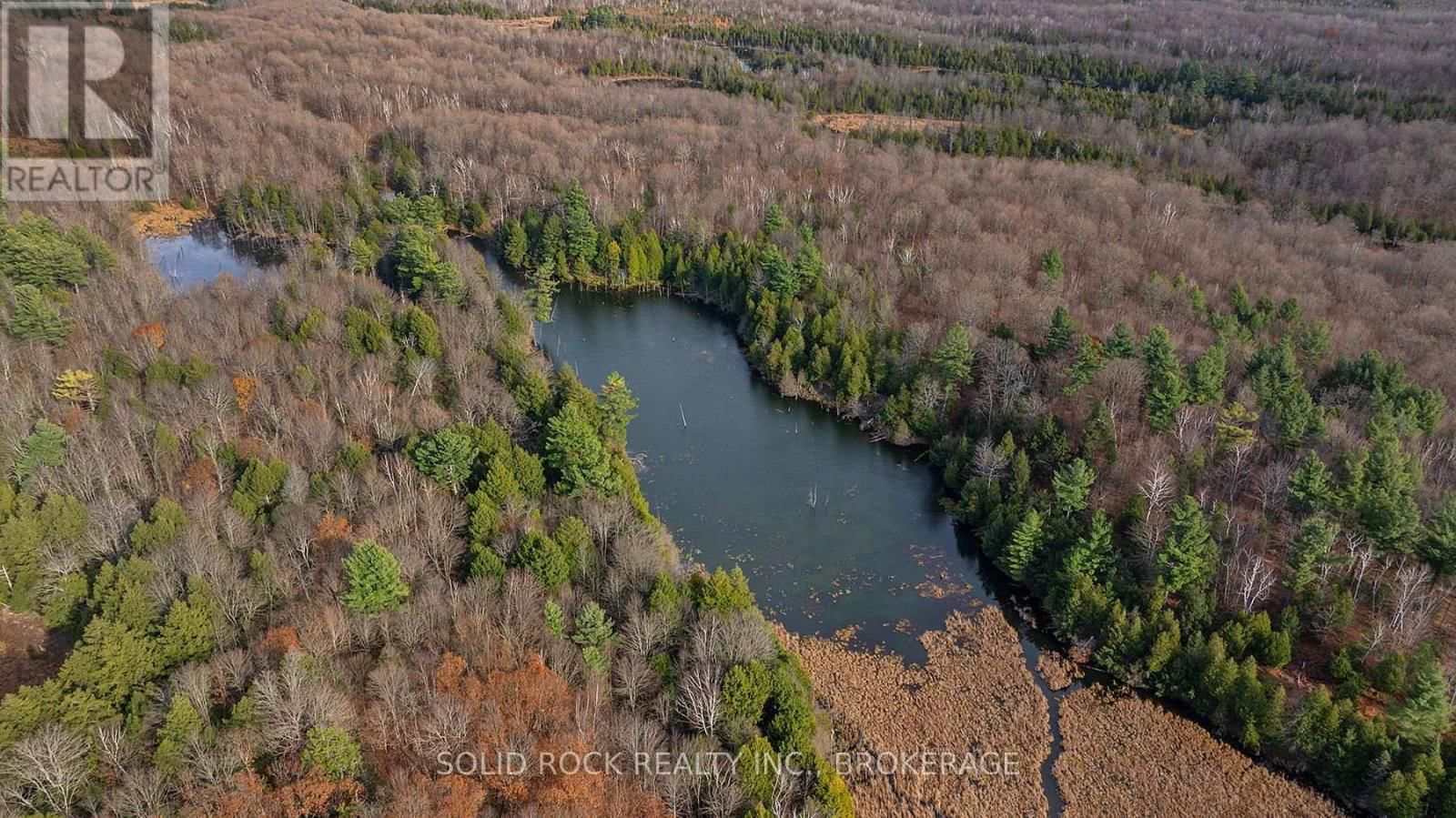 4419 OLD KINGSTON ROAD Image 9