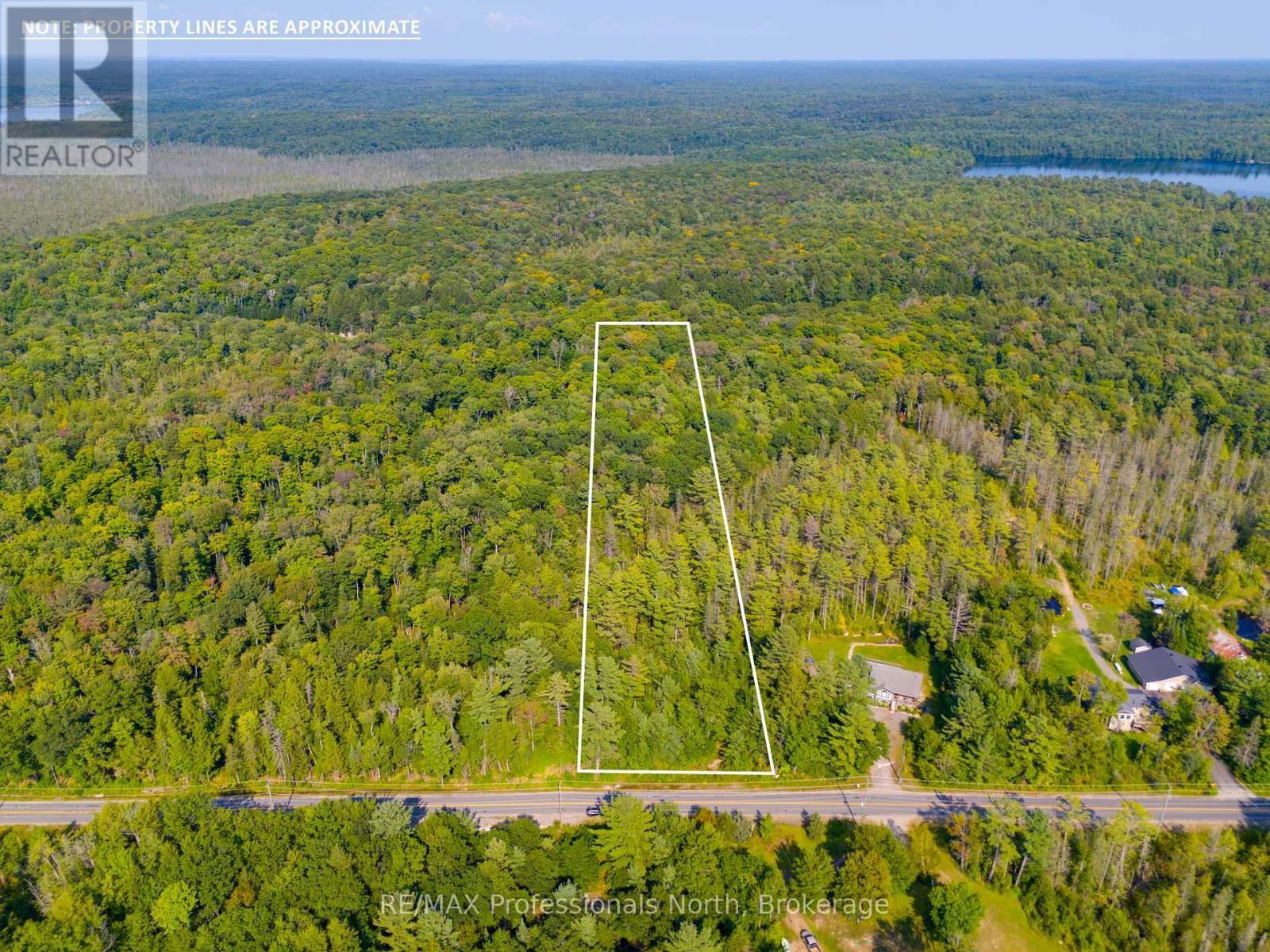 Primary Property View