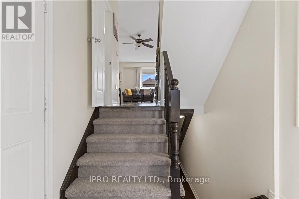12 - 40 DARTMOUTH GATE Image 3