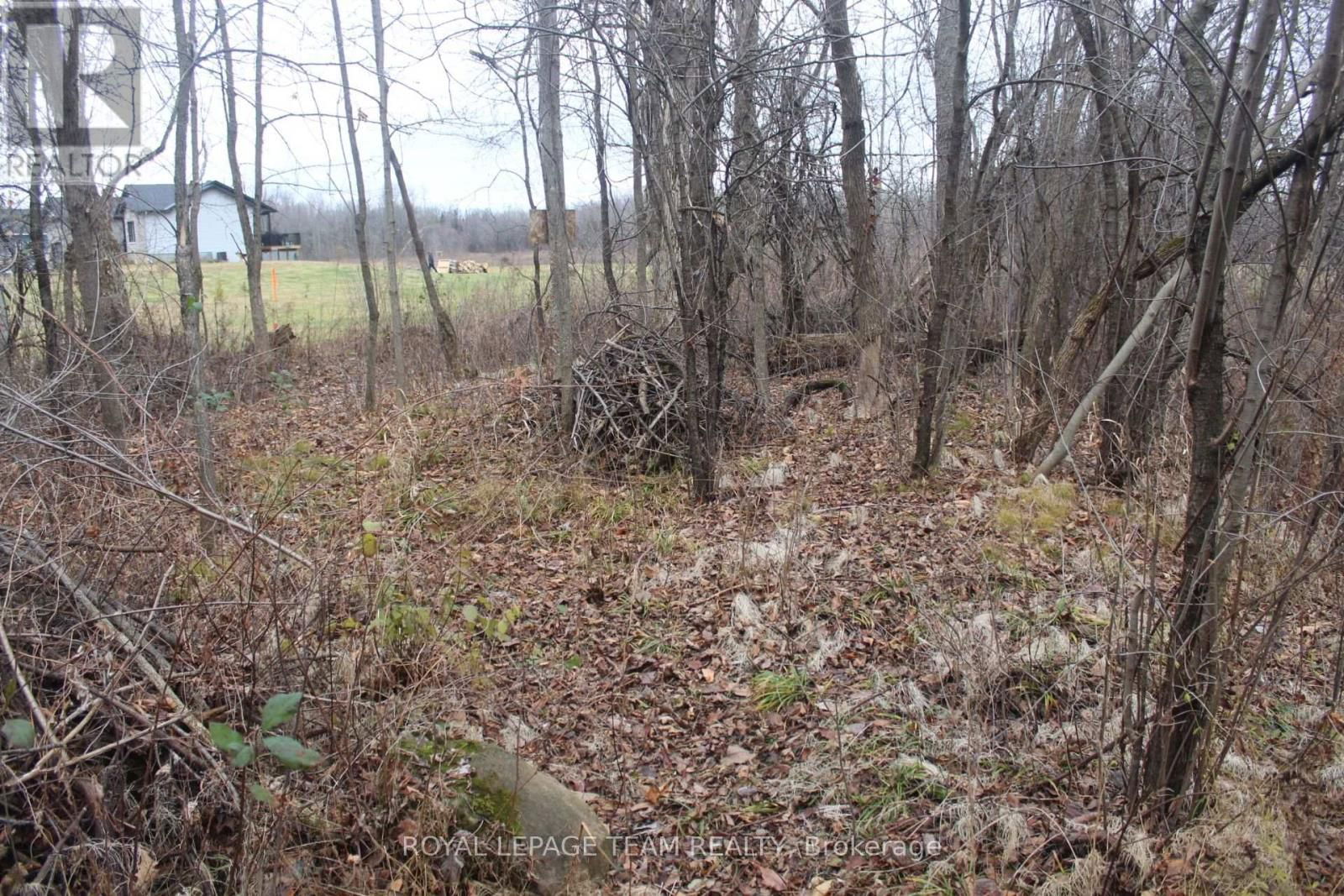 00 MAURICE STREET Image 9