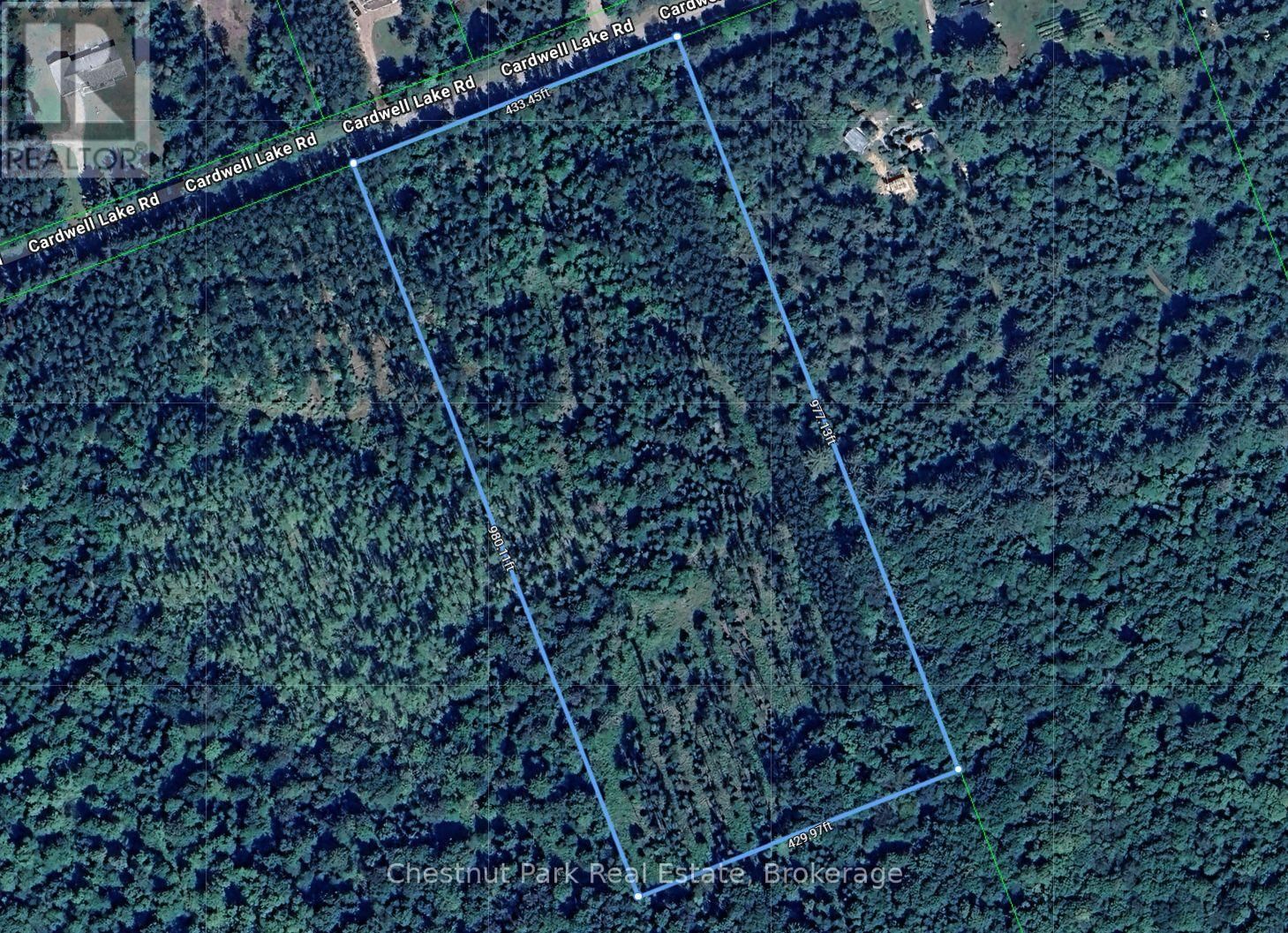 Primary Property View