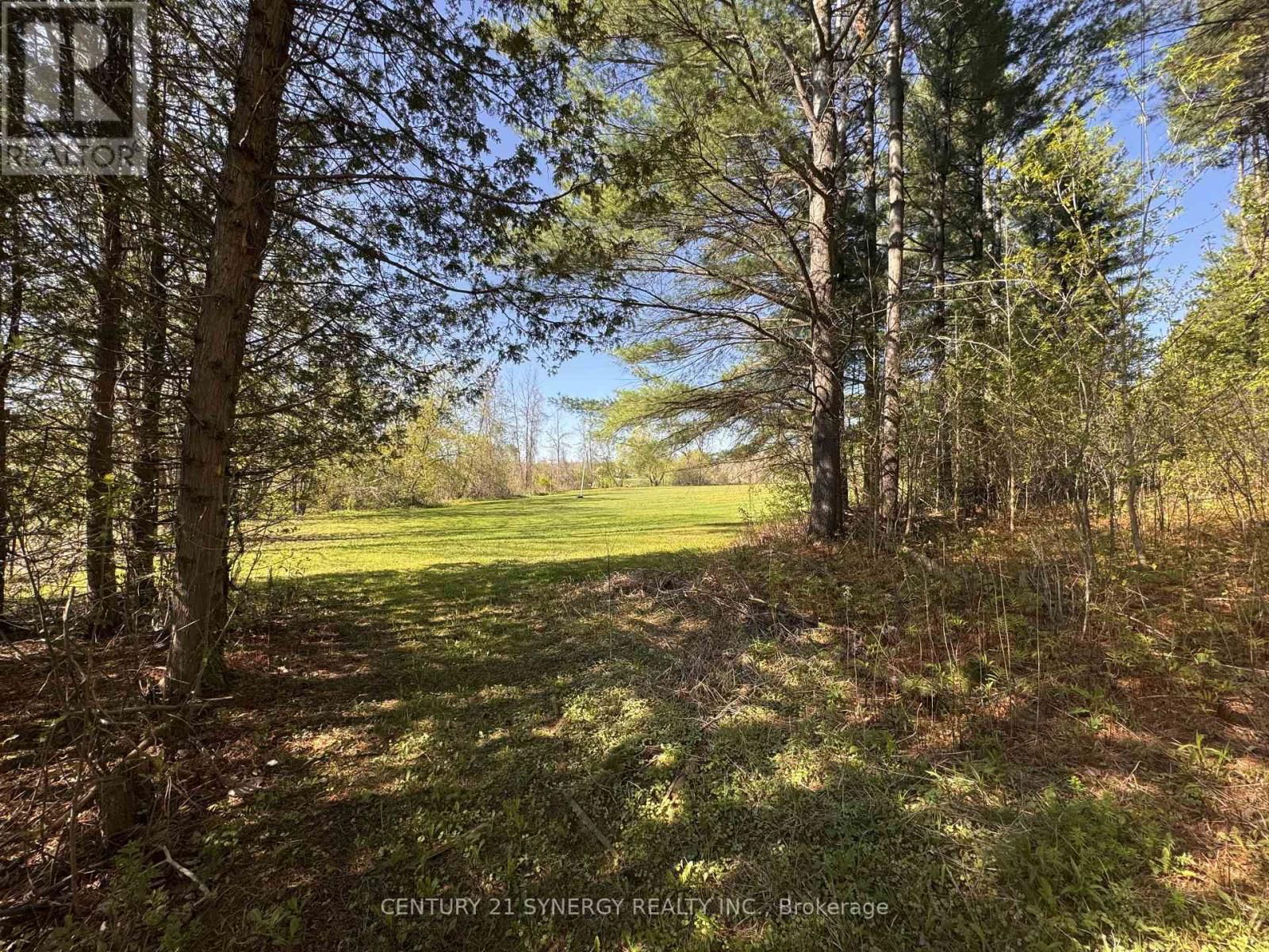 9093 COUNTY RD 22 ROAD Image 47