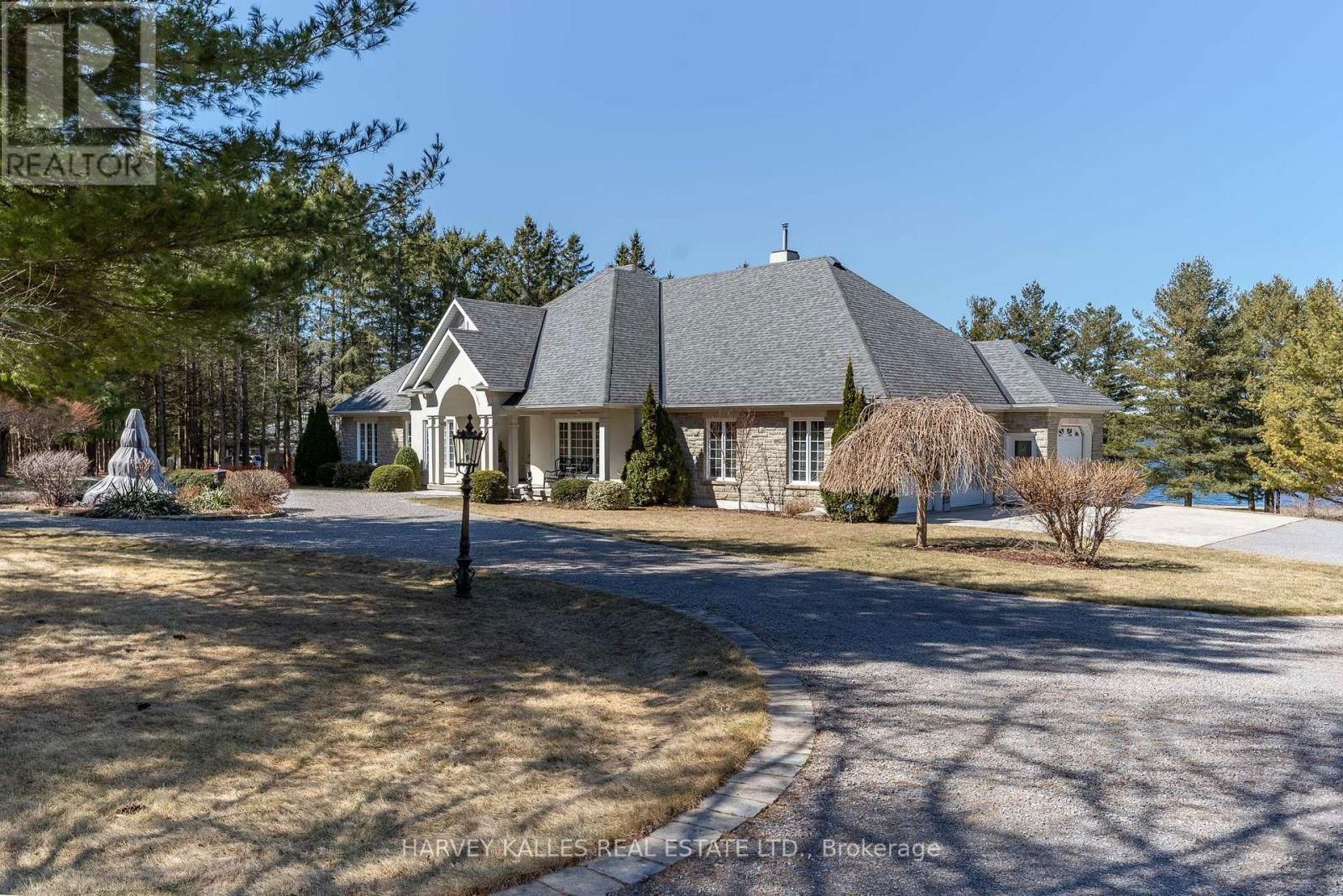 Primary Property View