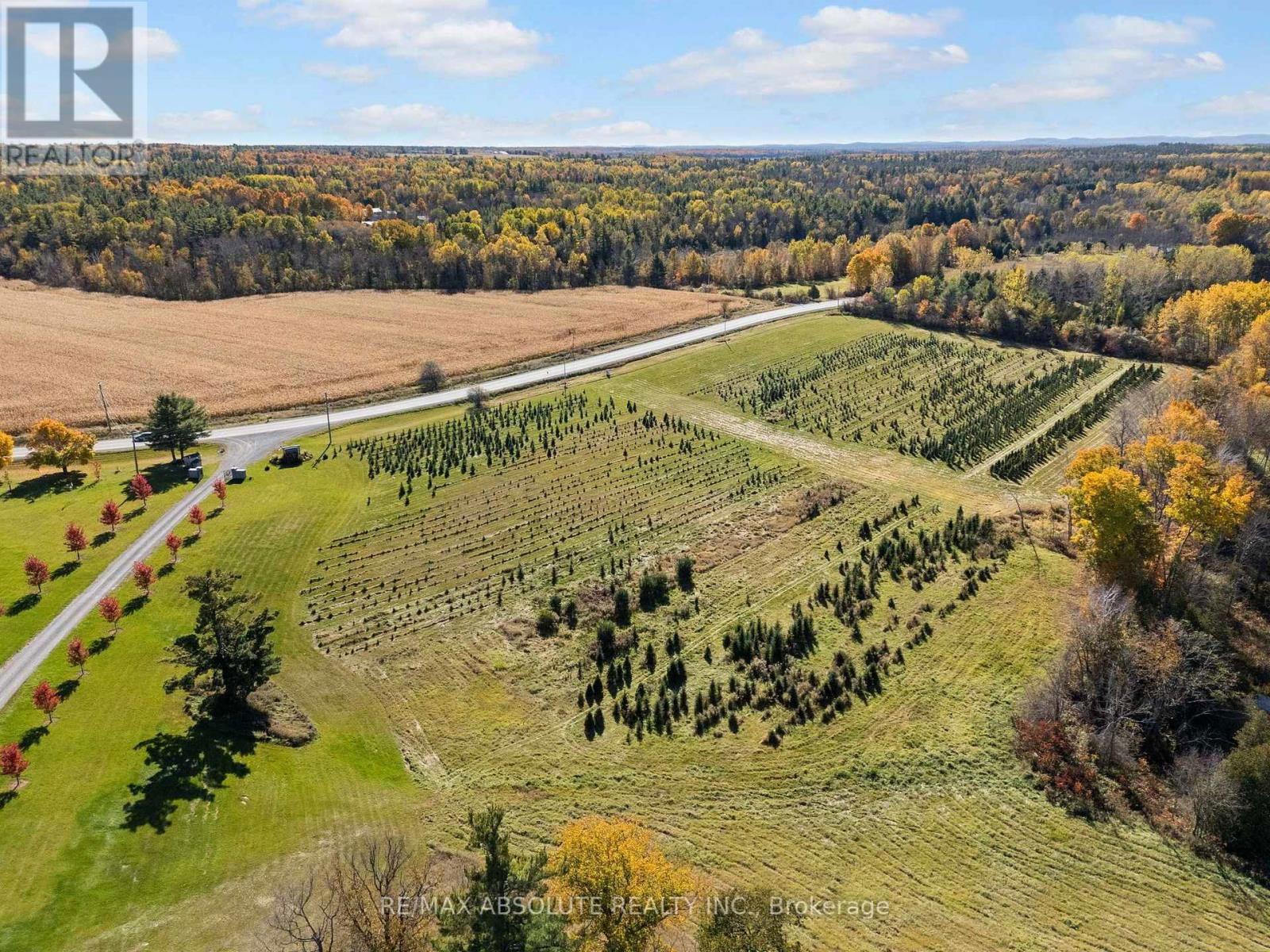 Primary Property View