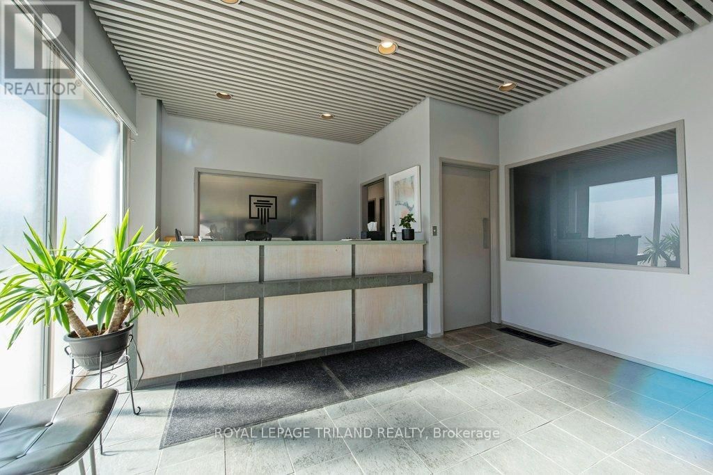 4-8 ELGIN STREET Image 3