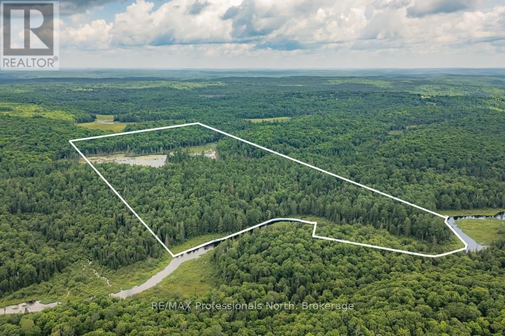 Primary Property View