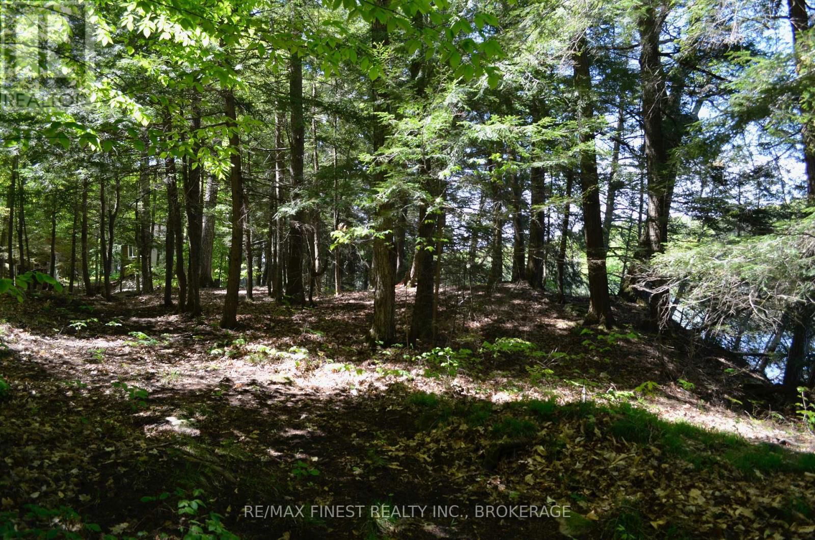 734 SHERBROOKE DRIVE Image 14