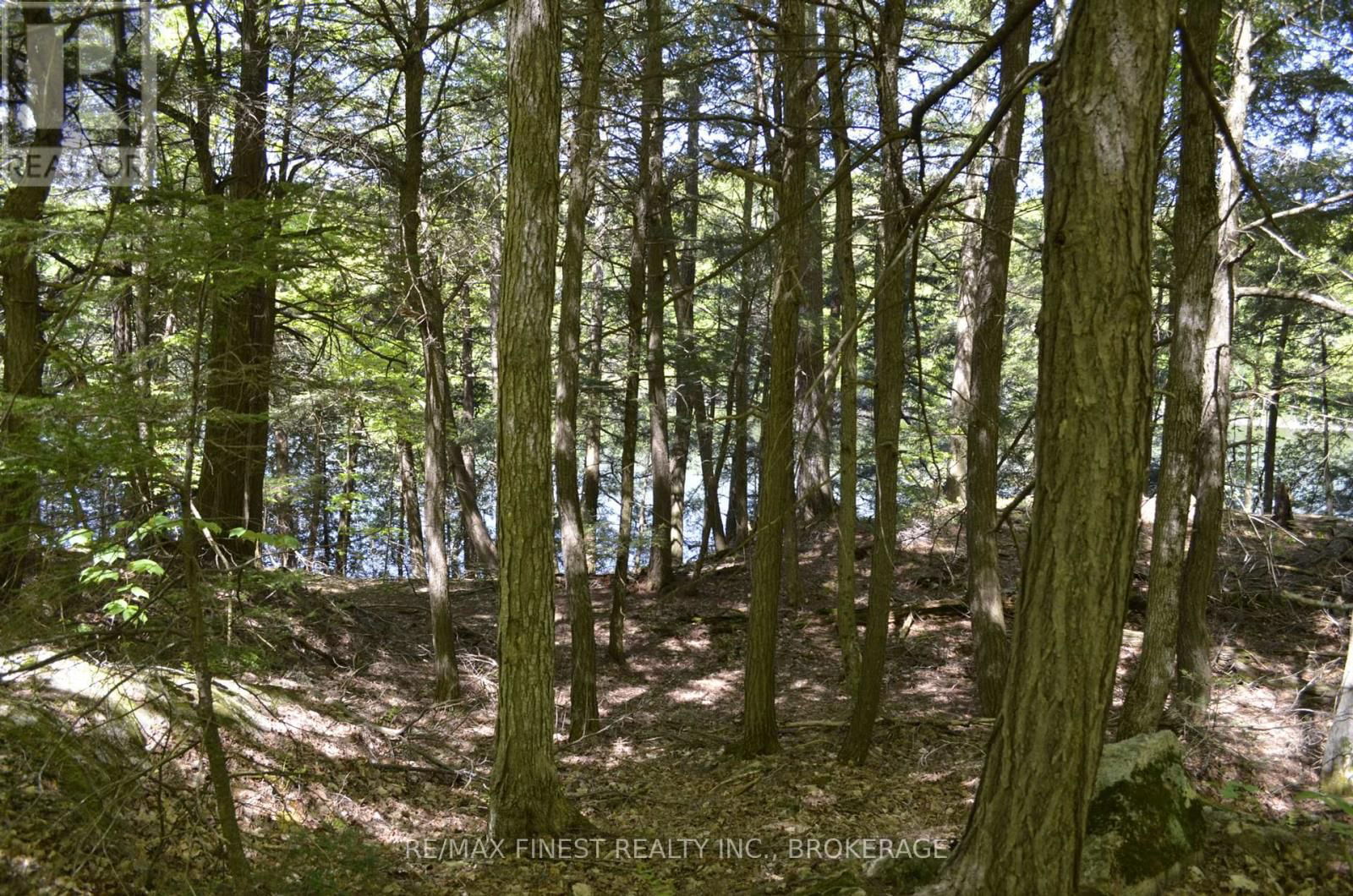 734 SHERBROOKE DRIVE Image 2
