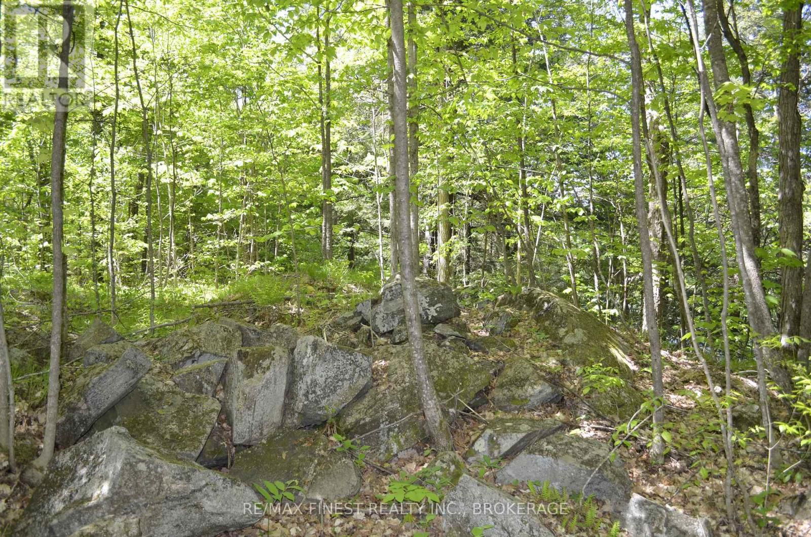 734 SHERBROOKE DRIVE Image 3