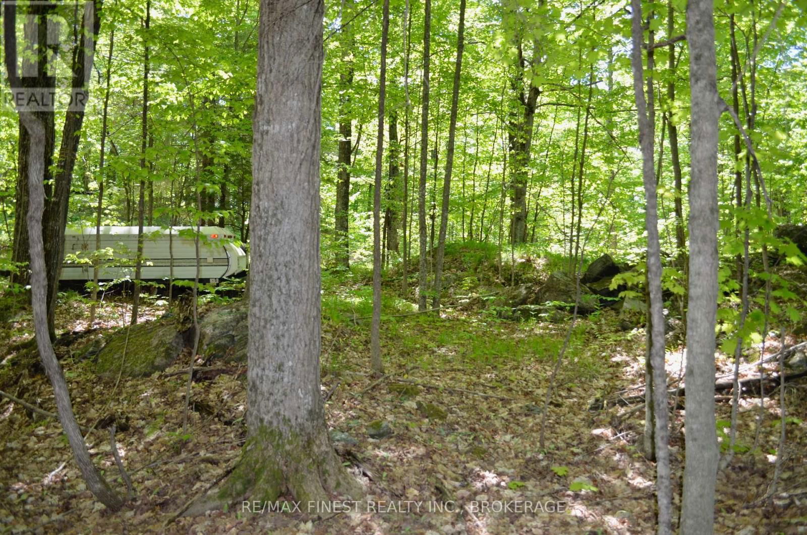 734 SHERBROOKE DRIVE Image 5