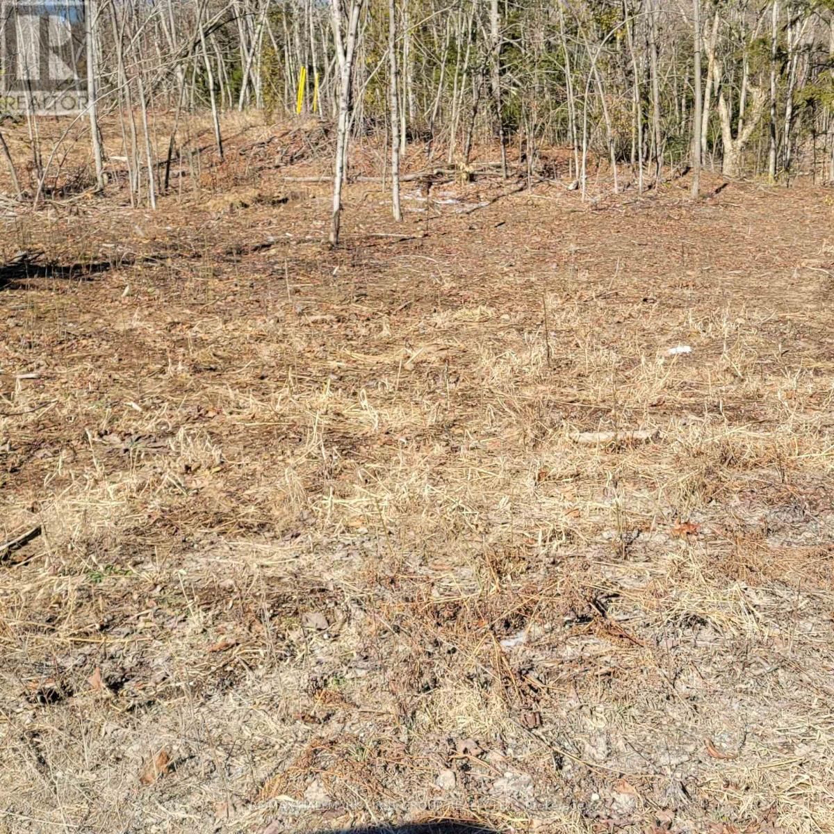 N/A BLACK RIVER ROAD NORTH Image 2