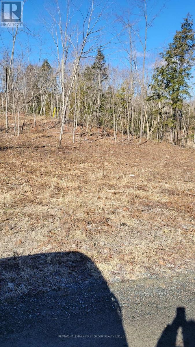 N/A BLACK RIVER ROAD NORTH Image 7