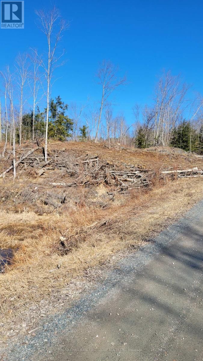 N/A BLACK RIVER ROAD NORTH Image 8
