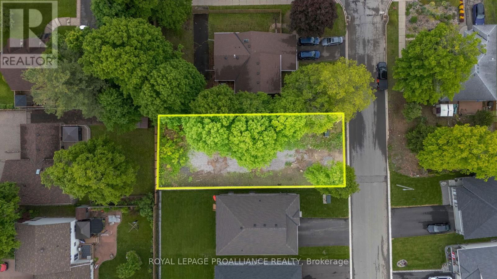 Primary Property View