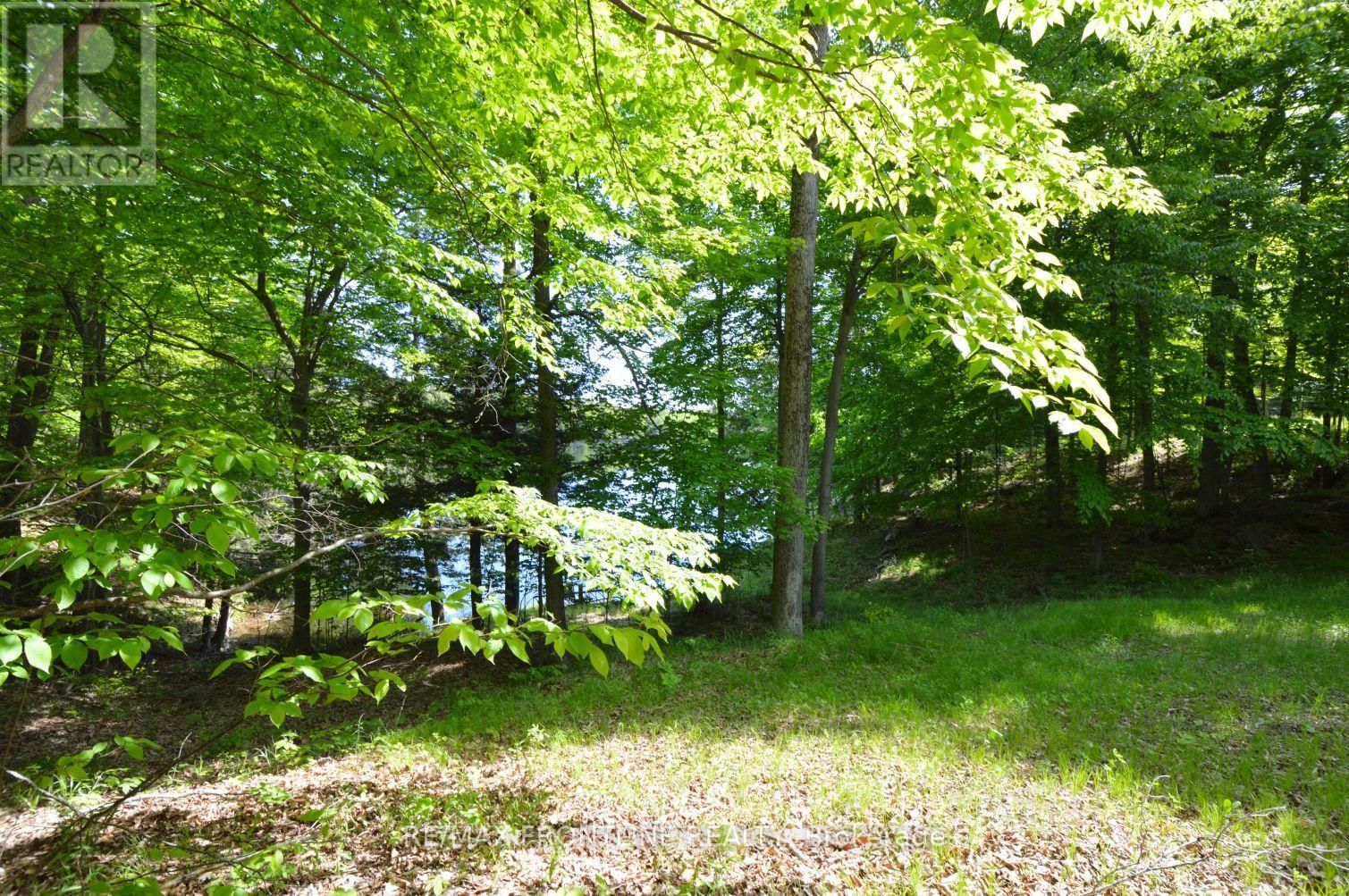 436 MINERS POINT Image 36