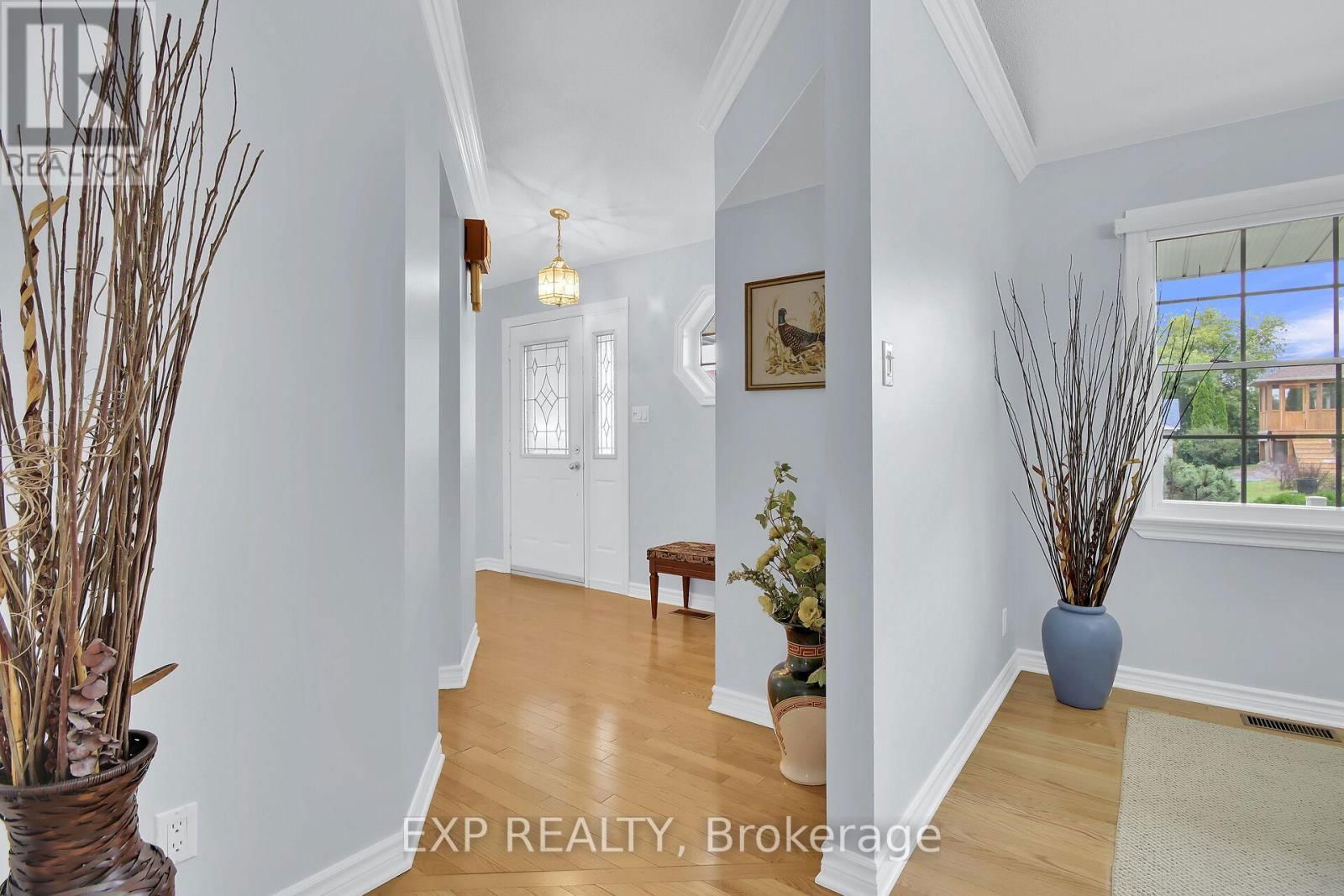 40 EVELYN STREET Image 6