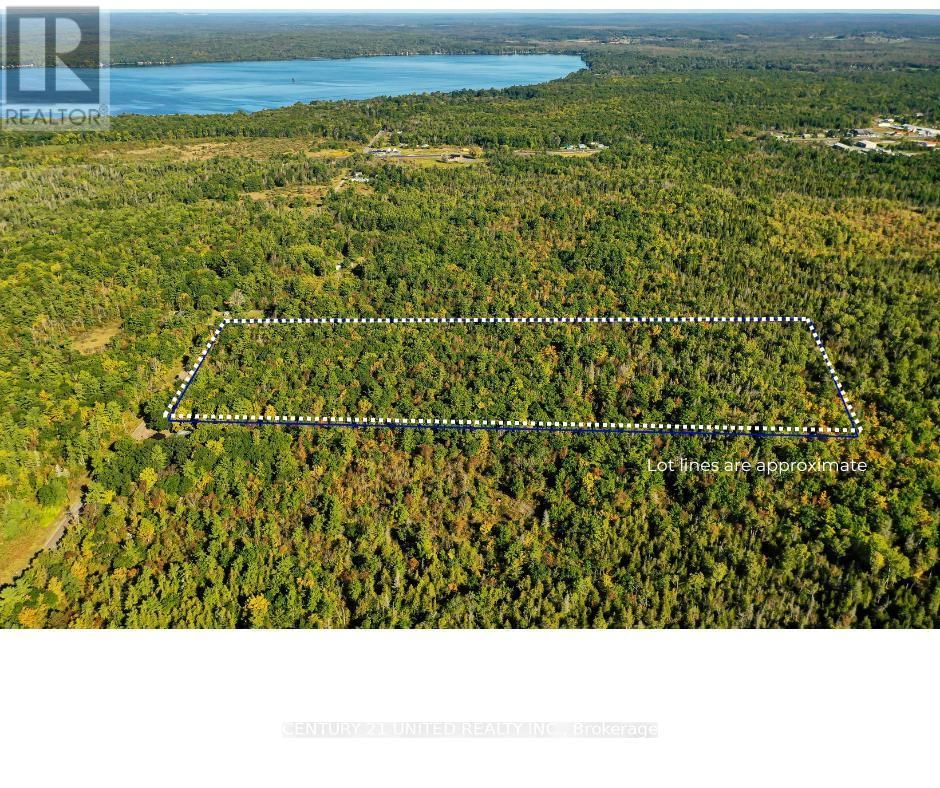 Primary Property View