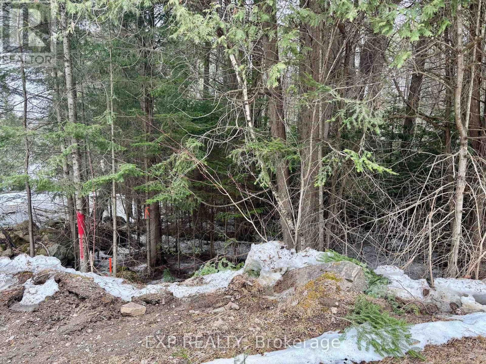 L 149-2 ARBOR VITAE ROAD Image 16