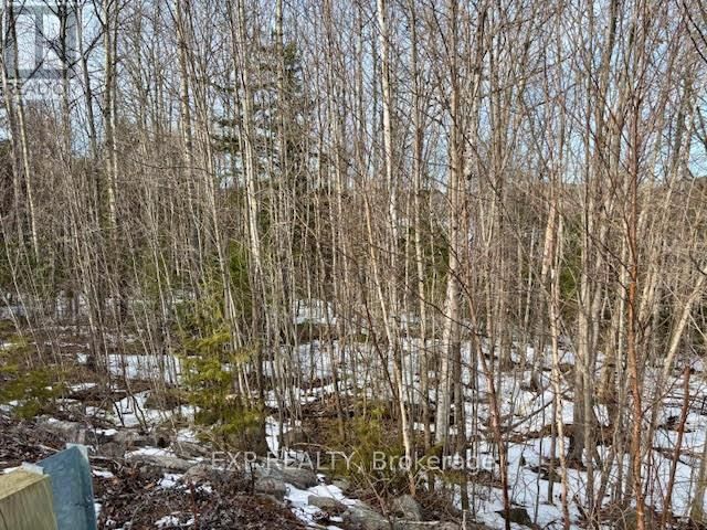 L 149-2 ARBOR VITAE ROAD Image 5