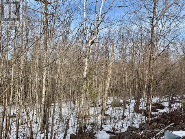 L 149-2 ARBOR VITAE ROAD Image 7