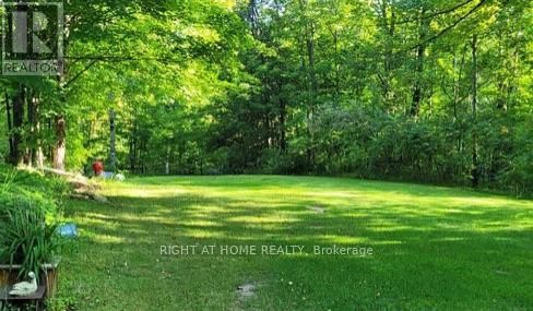 1492 COUNTY RD 620 ROAD Image 39