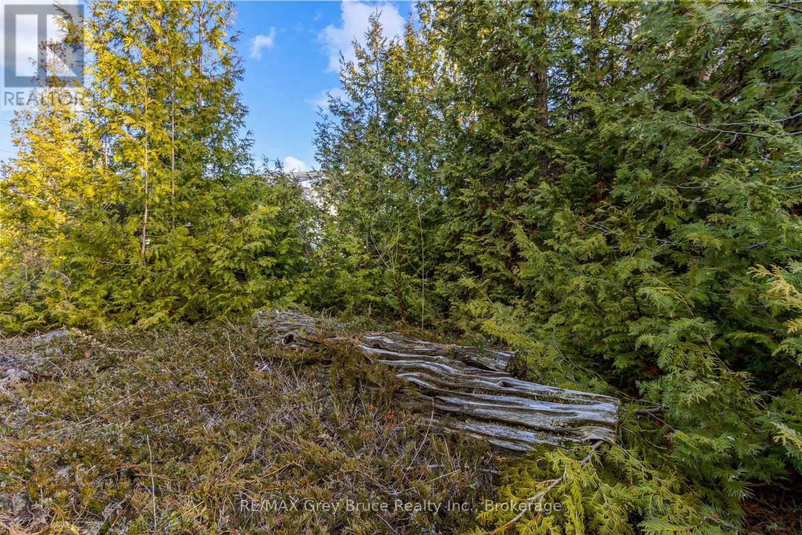 PART 10 FOX TRAIL Image 14