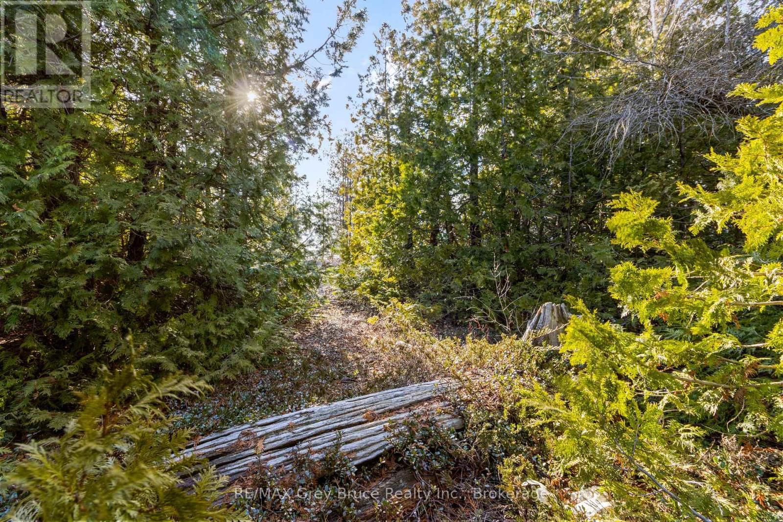 PART 10 FOX TRAIL Image 15