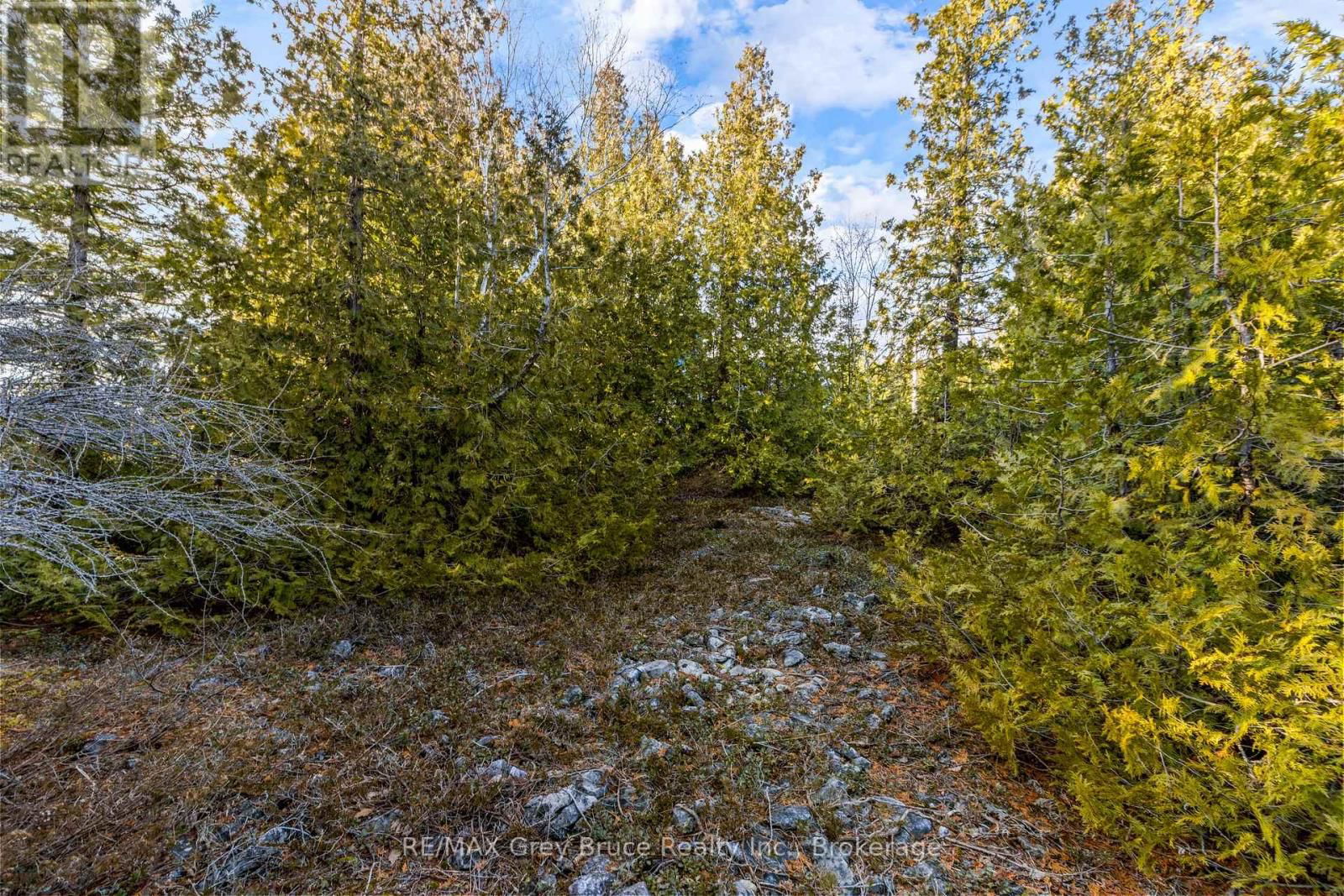 PART 10 FOX TRAIL Image 24