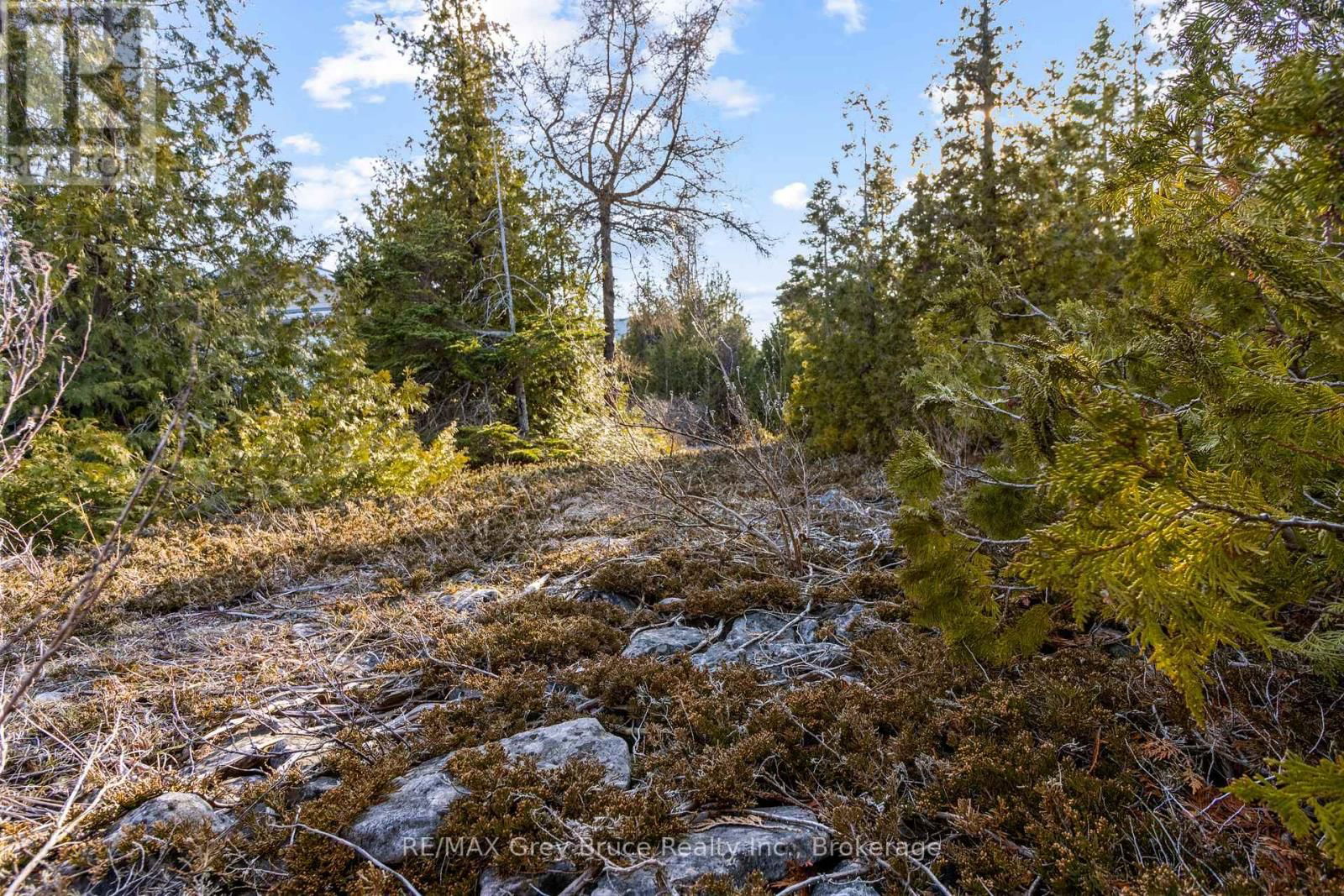 PART 10 FOX TRAIL Image 4