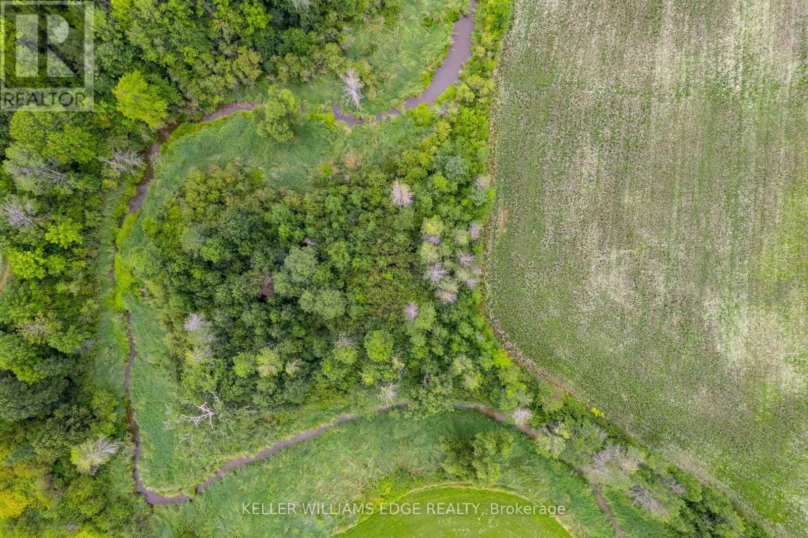 223 SIDEROAD 25 Image 7