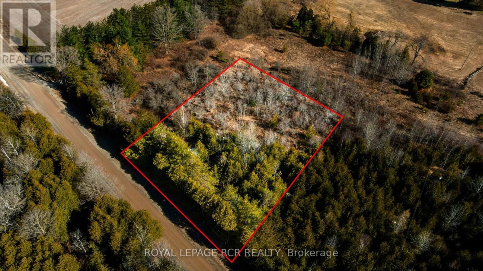 Primary Property View