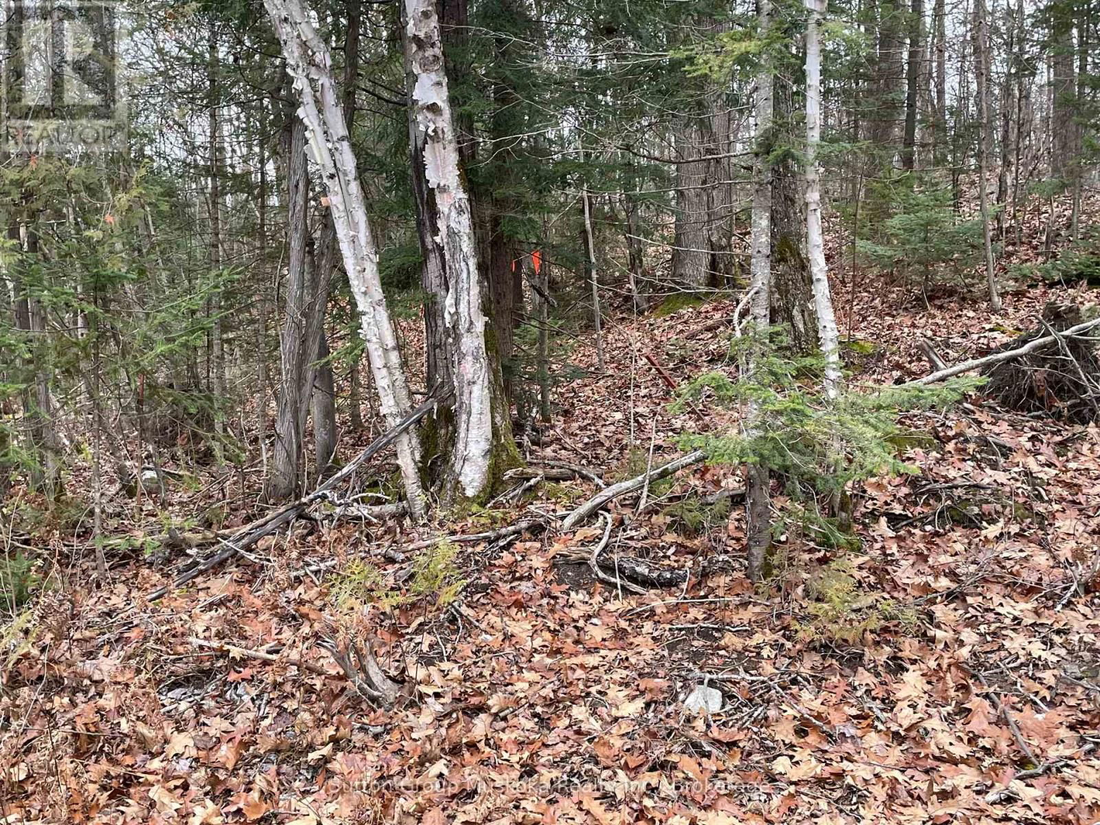 48 SPRING HILL RD Image 1