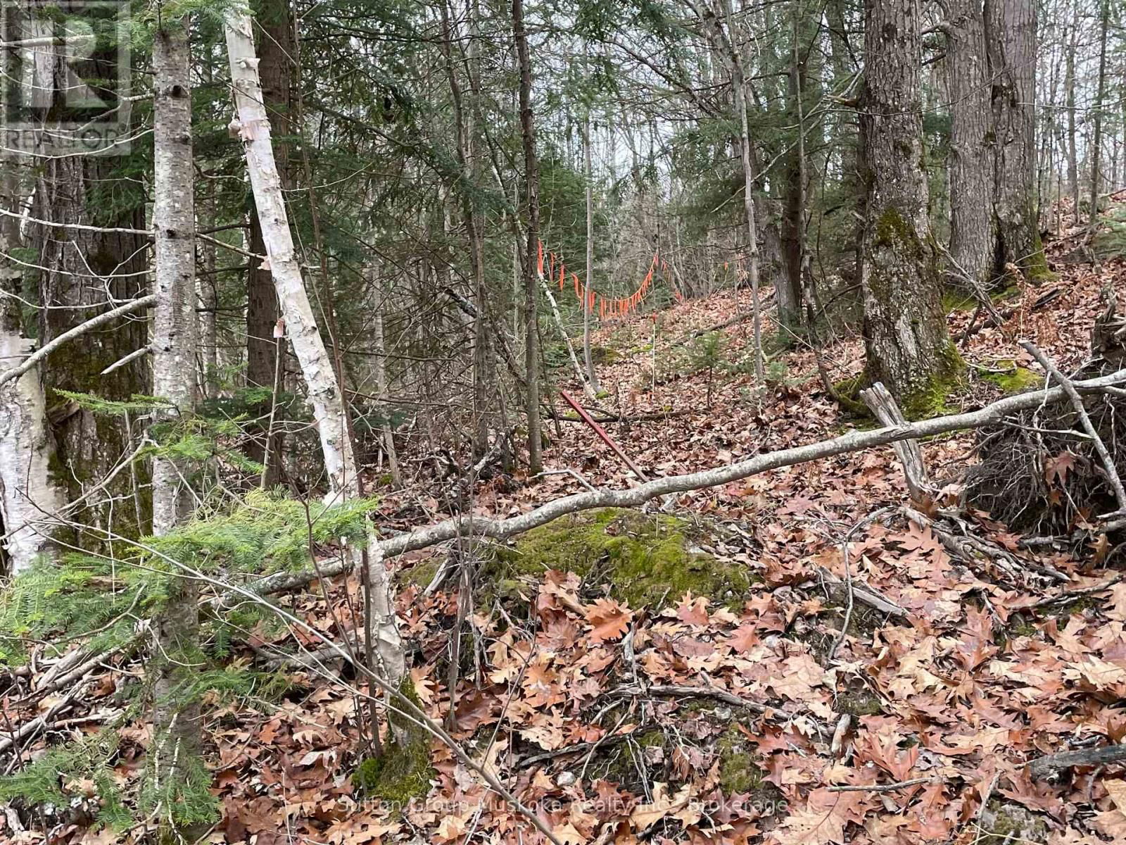 48 SPRING HILL RD Image 3