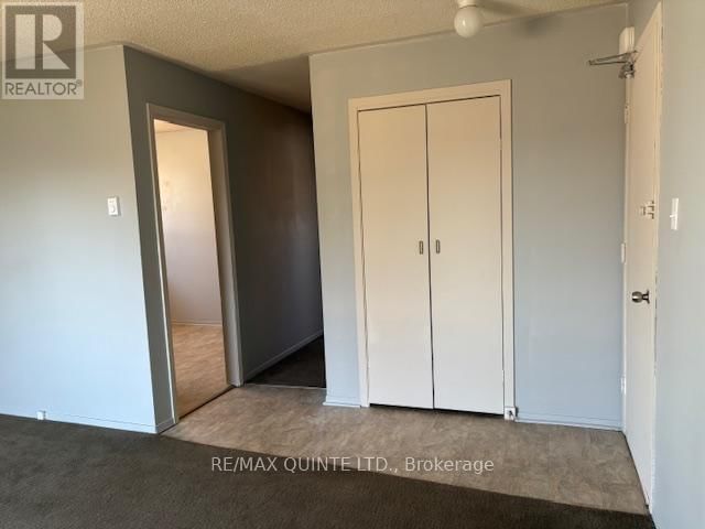 6 - 29 MCNICHOL AVENUE Image 5