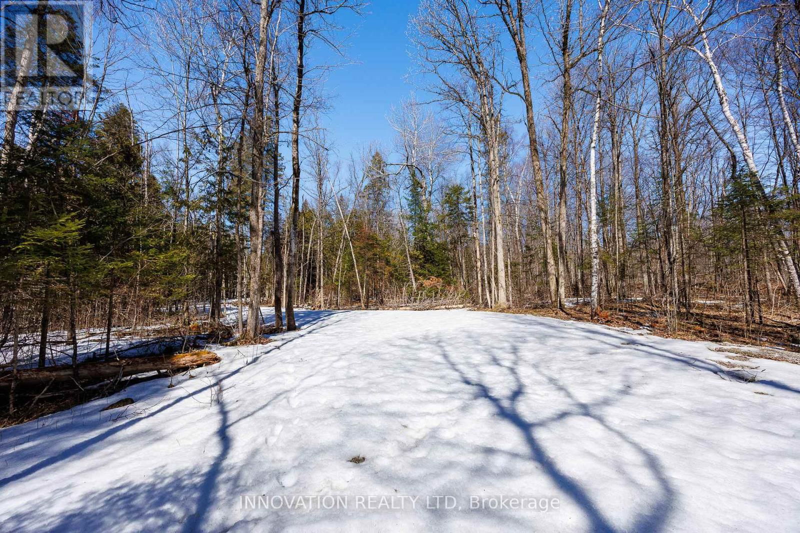 1681 QUARRY ROAD Image 16