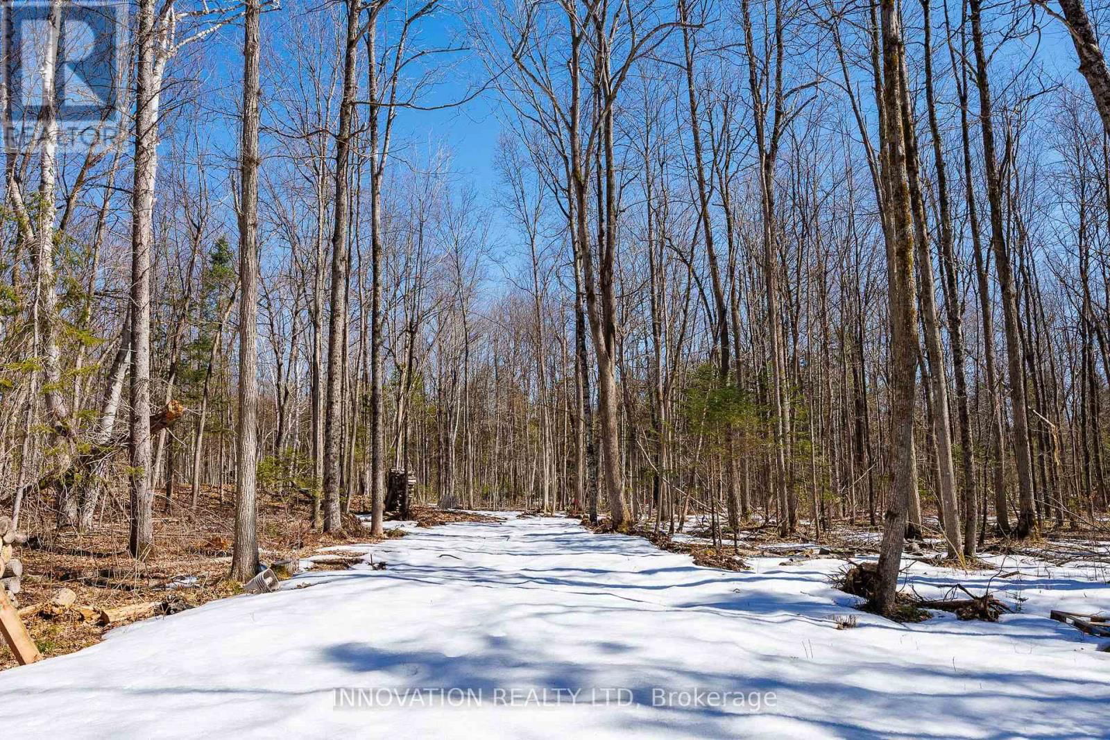 1681 QUARRY ROAD Image 26