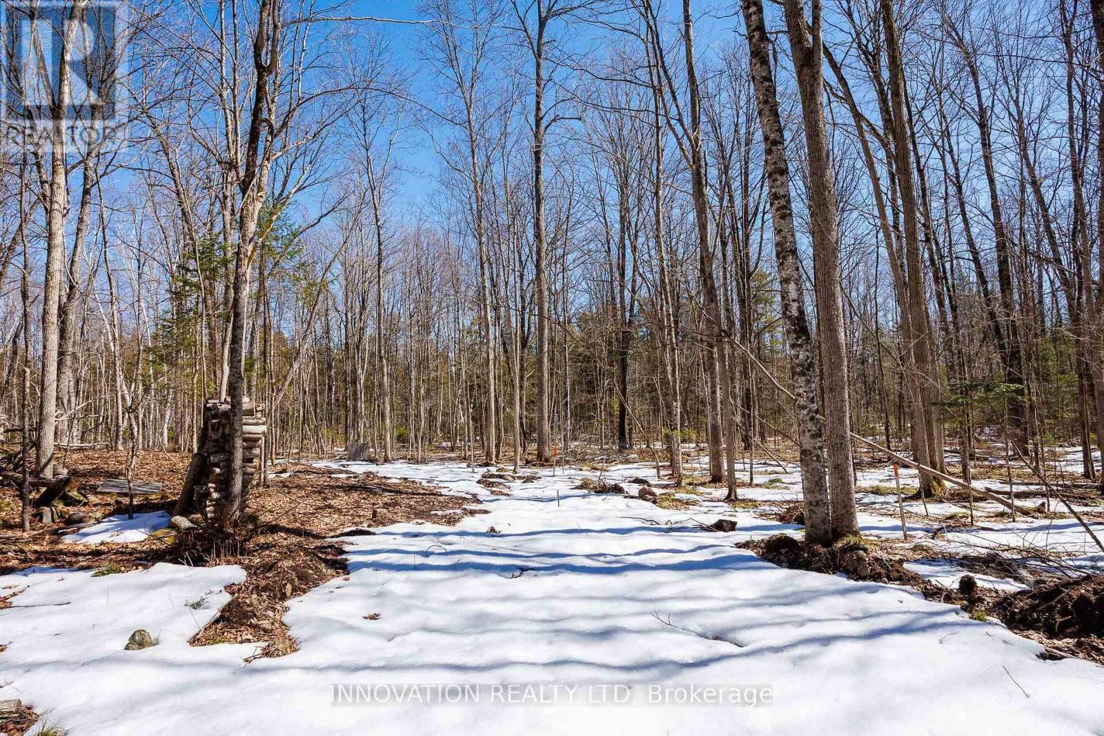 1681 QUARRY ROAD Image 29