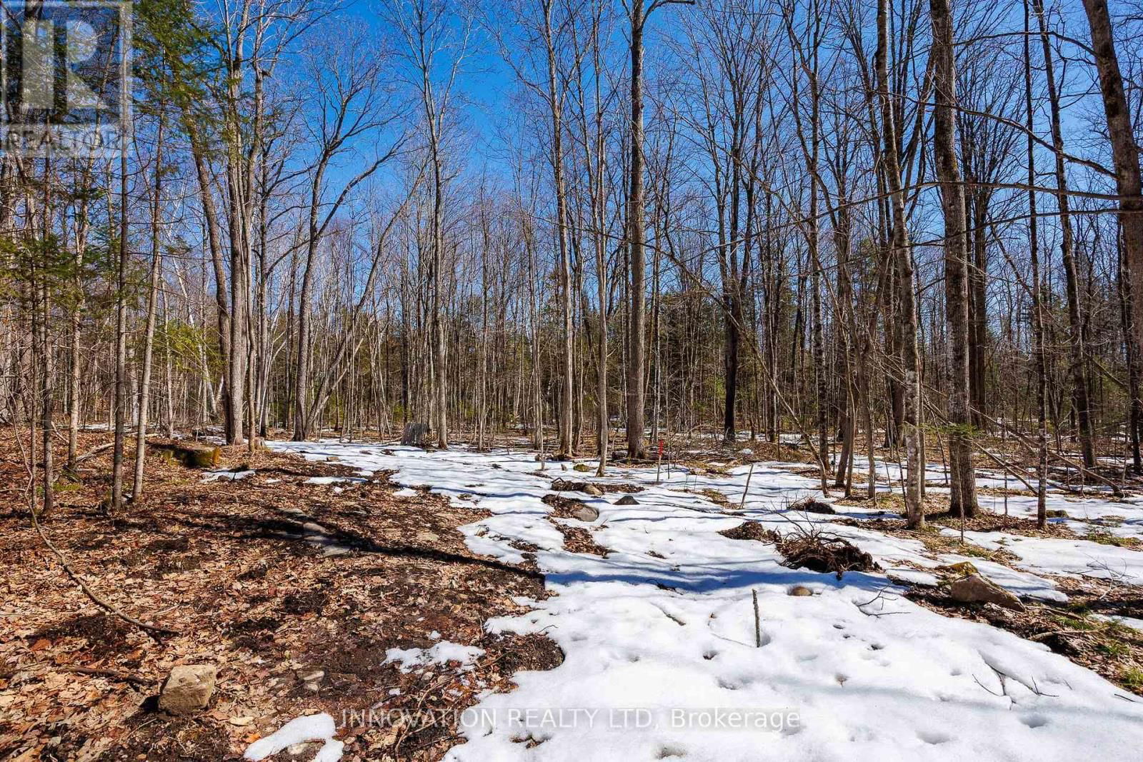 1681 QUARRY ROAD Image 30