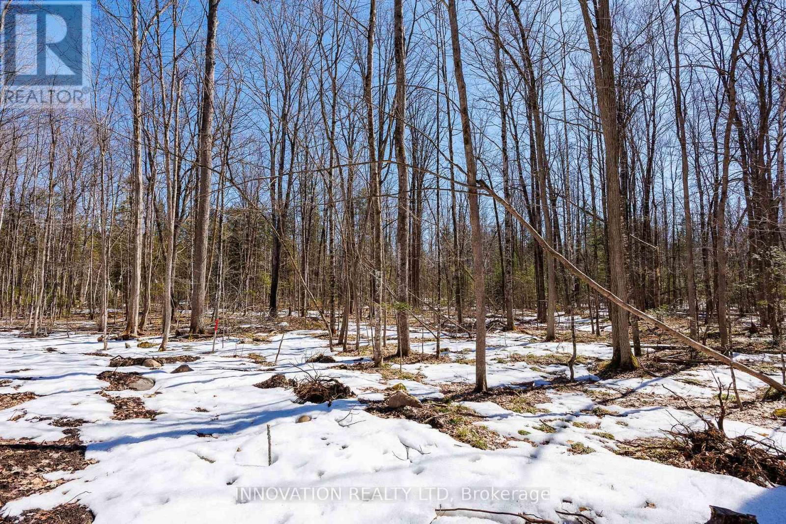 1681 QUARRY ROAD Image 31