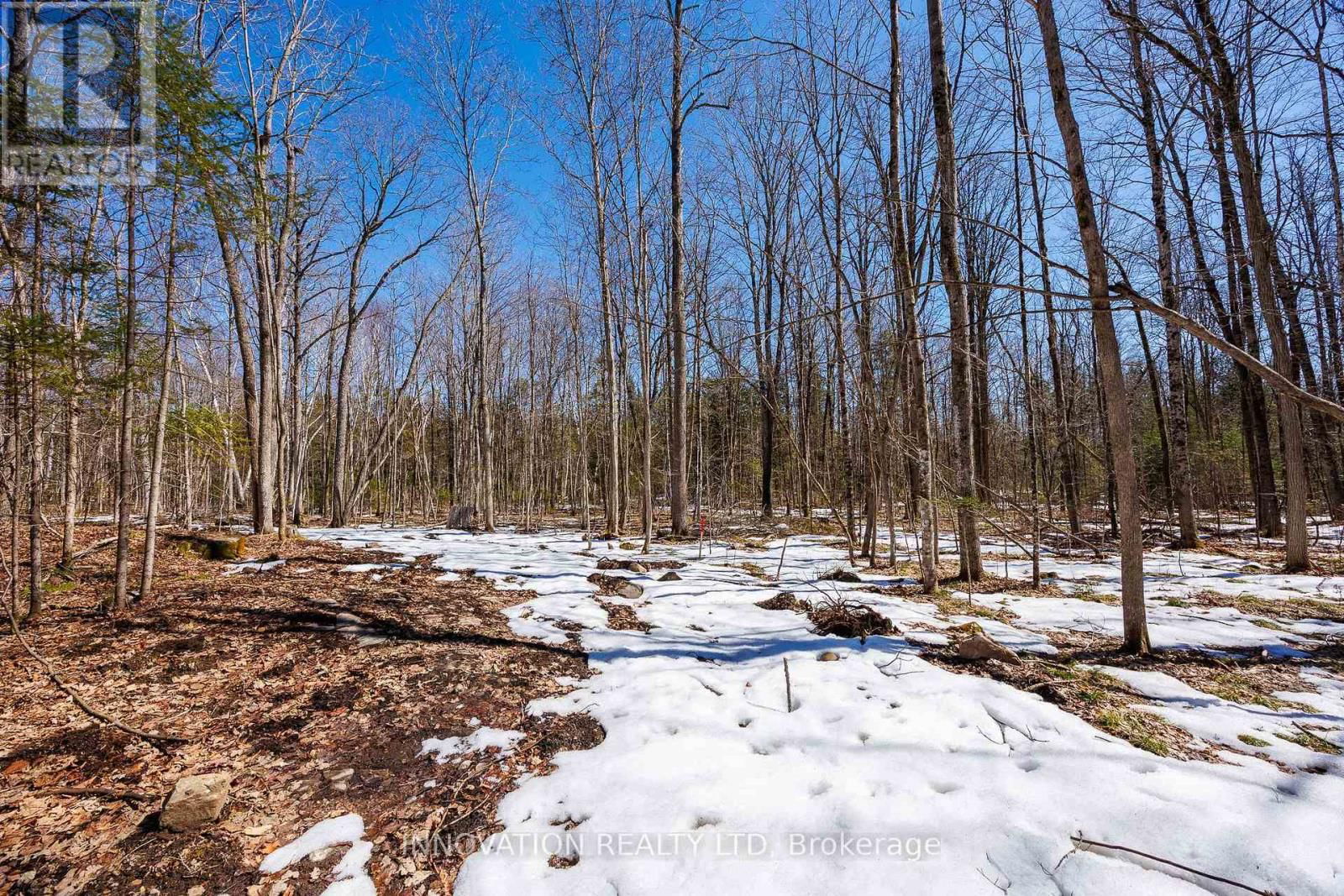 1681 QUARRY ROAD Image 32