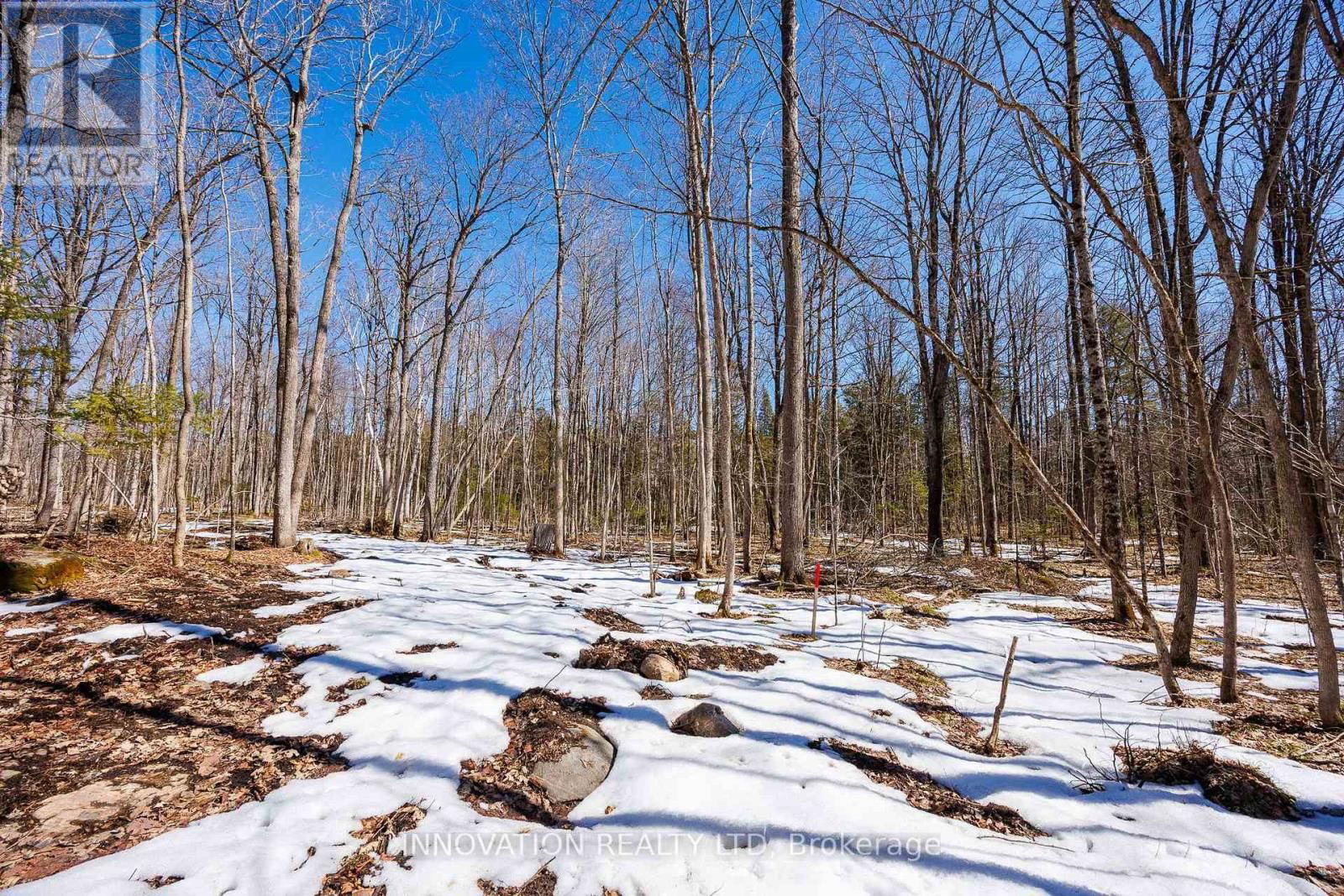 1681 QUARRY ROAD Image 33