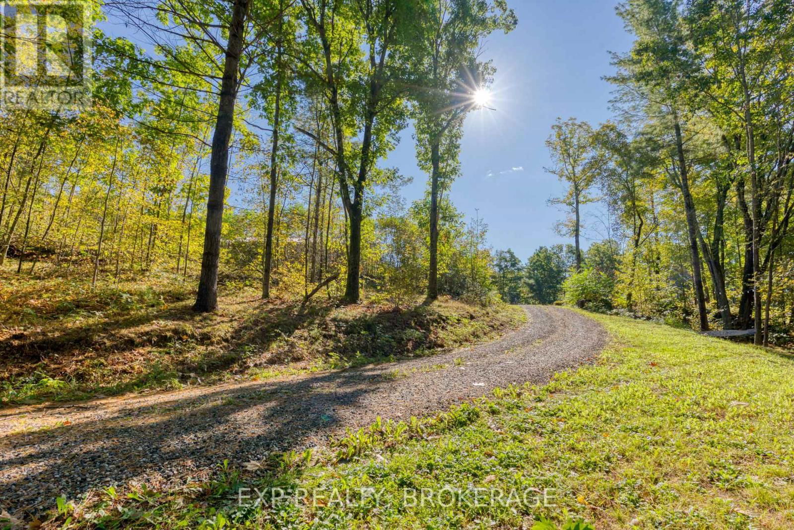 1506 WILLIAMS LANE Image 6