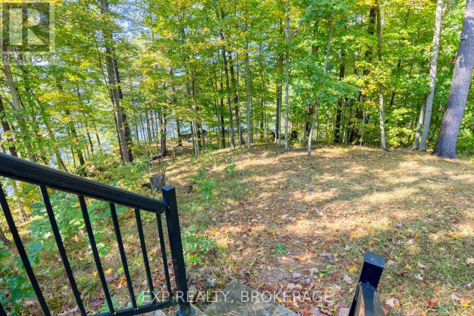 1506 WILLIAMS LANE Image 9