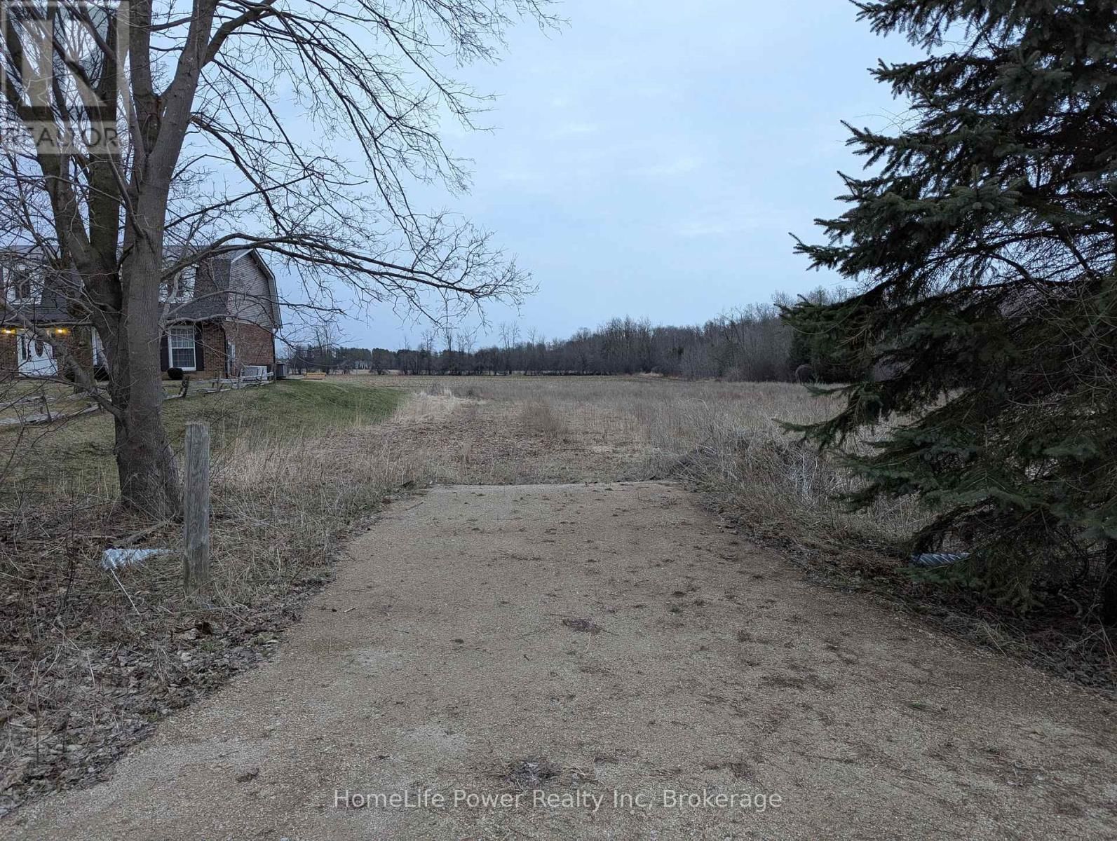 Primary Property View