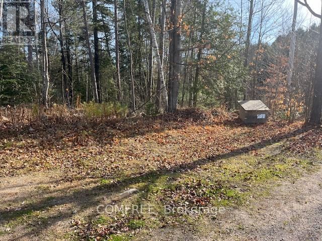 1694 SIBERIA ROAD Image 10