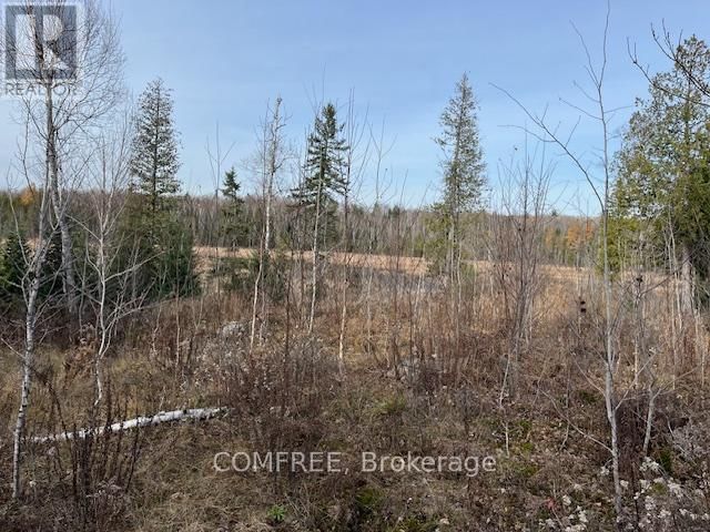 1694 SIBERIA ROAD Image 19